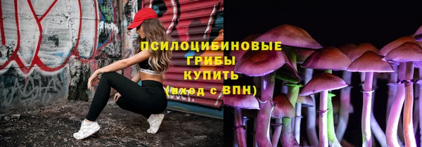 шишки Переславль-Залесский