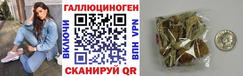 Галлюциногенные грибы GOLDEN TEACHER Боровск